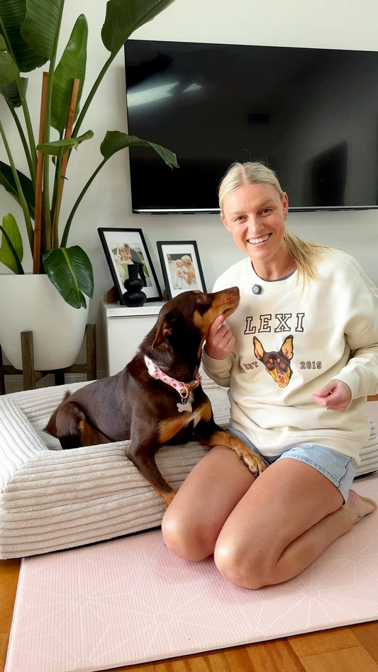 Varsity Printed Crewneck 🐾